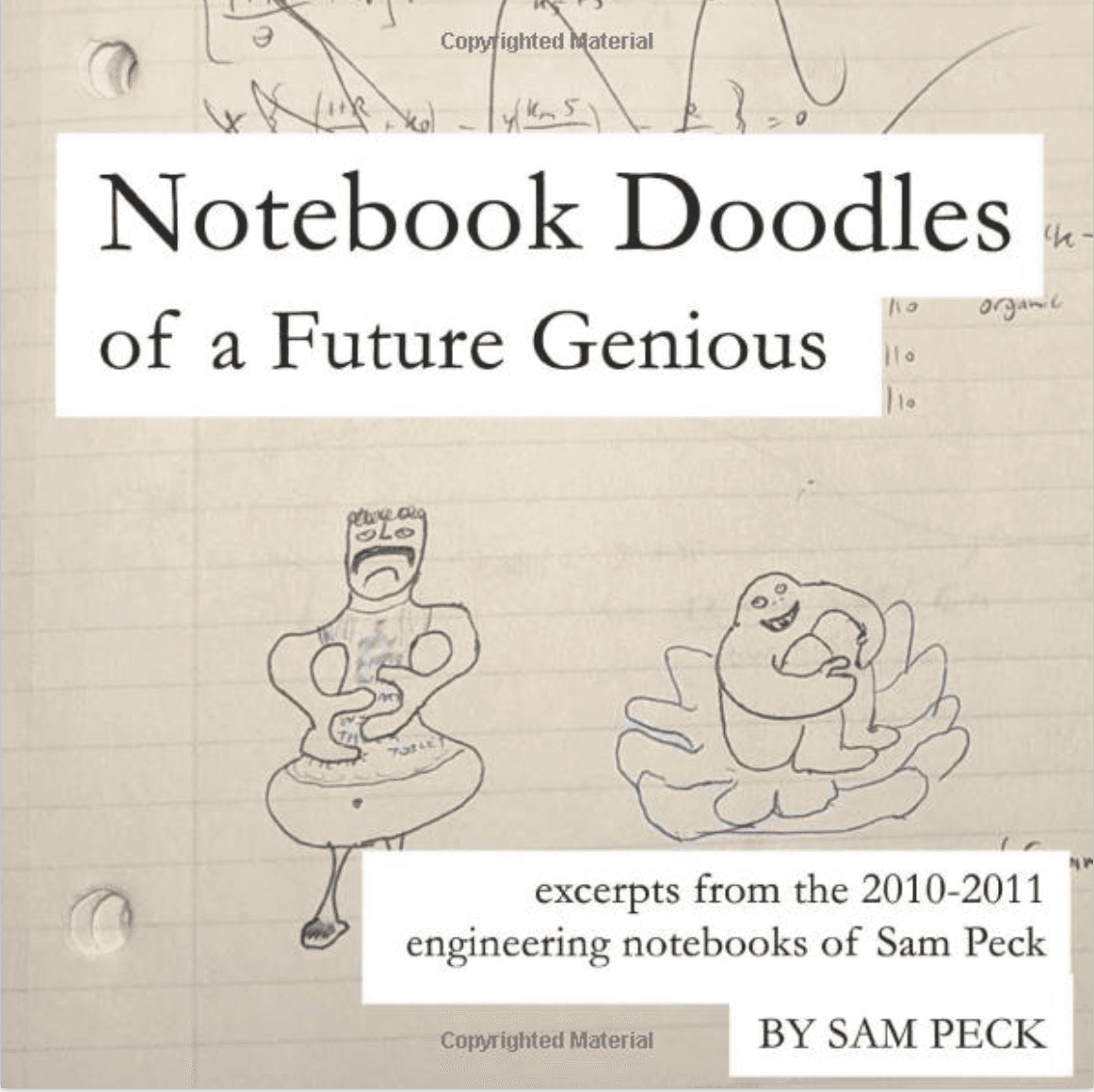 Notebook Doodles of a a Future Genious book cover